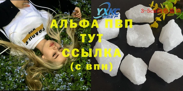 прущие крисы Покачи