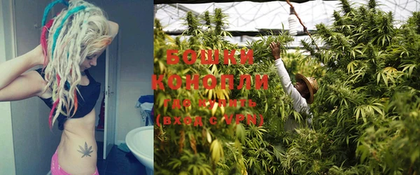 прущие крисы Покачи