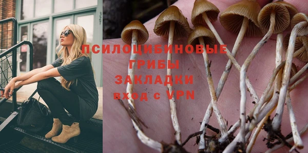 Альфа ПВП Богданович