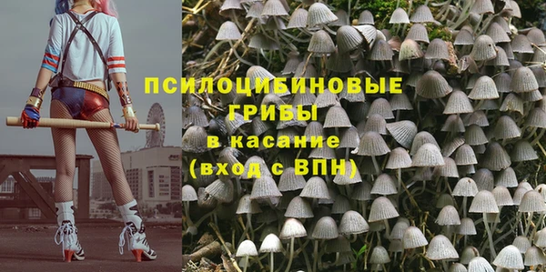 прущие крисы Покачи