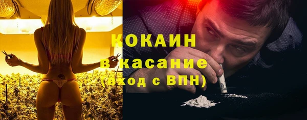 гидра Бронницы